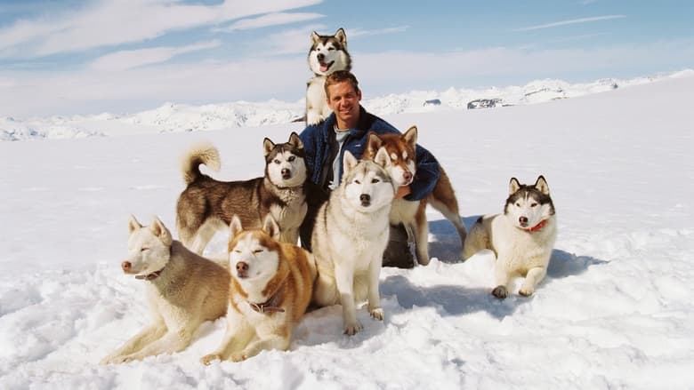 Eight Below